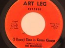 XOVER SOUL 45-THE FEMINIQUES-TIME IS GONNA CHANGE on ART LEG