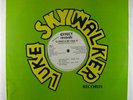 DJ MIKE & MC COOL D Do That Shit / Gangster Rock 12