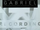 Roy Davis Jr. Featuring Peven Everett ?– Gabriel 12