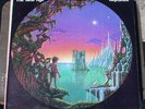 THE NEW AGE Neptuned LP 1980 Microdot PRIVATE PRESS Fantasy Prog Synth