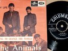 Animals - 7