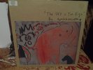 graham coxon the sky is too high vinyl lp original blur oasis pulp britpop