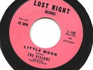 THE VISIONS 1961 Doo Wop 45 VG++ LITTLE MOON / Teenager's Life - Lost Night 102
