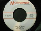 The Apollos Target Love b/w It's A Monster GARAGE MONSTER punk KBD stomper