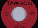 Funk 45 RICKY ALLEN Cut You Lose TAM-BOO HEAR