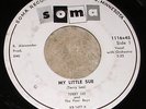 PRIVATE 1959 MN Rockabilly 45 - TERRY LEE & POORBOYS 