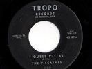 Doo Wop 45 VISCAYNES Stop What You're Doing/I Guess I'll Be Sly Stone Tropo RARE