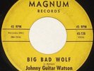 JOHNNY GUITAR WATSON 