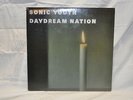 Sonic Youth - Daydream Nation LP - Enigma Original - NM + Poster
