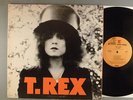 T. Rex  The Slider