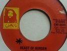 Kwame Heshimu Beast Of Burden orig ja 7