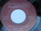 HOAGY LANDS Why Didn't You Let Me Know / Reminisce NORTHERN SOUL 45  #H890 HEAR