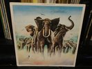 signed ELVIS COSTELLO & The Attractions / ARMED FORCES Rad 14 UK BAND AUTOGRAPH