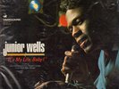 JUNIOR WELLS IT'S MY LIFE, BABY ORIG 1960s VANGUARD BLUES LP IN SHRINK NR MINT