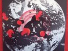 MOIR SISTERS Lost Somewhere Beyond Time RARE 1975 OZ Prog Psych CHAIN CARSON EXC