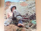 LP Prog. Psych WARM DUST 