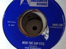 The Pioneers Who The Cap Fits / I'm Moving On Killer 7