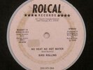 Bird Rollins - No Heat No Hot Water 12