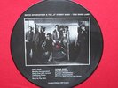 BRUCE SPRINGSTEEN   Picture Disc Record LP -This Hard Land