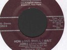 X  DEEP SOUL  FUNK BREAKS   JAMES LEWIS FIELDS   HOW LONG SHALL I WAIT  TOP POP