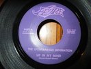THE SPONTANEOUS GENERATION - Heavy Psych - UP IN MY MIND - FEVRE 8680