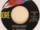 The Whispers - Never Again / As I Sit Here (Dore 960)