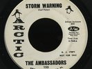 Soul Funk 45   Ambassadors   Storm Warning   Arctic   mp3 WLP