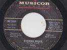 S.O.U.L. Soul - Burning Spear / Tell It Like It Is - Musicor 1454 Rare Funk 45