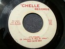 1966 FLORIDA GARAGE PUNK CLASSIC--CAVE MEN--IT'S TRASH--'CHELLE 148