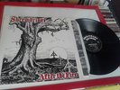 RARE LP SKREWDRIVER - AFTER THE FIRE - PUNK - RRR 75 -