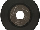 Frantic ROCKABILLY PAUL PERRY I've Got a Girl Named DEE NU-SOUND VG+ HEAR NOW