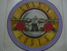 GUNS N ROSES Welcome To The Jungle 12