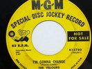 THE VELOURS, I'M GONNA CHANGE/DON'T PITY ME, ON MGM 13780 NORTHERN SOUL