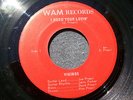 1966 OHIO GARAGE MONSTER--VIKINGS--I NEED YOUR LOVIN' / SUCH A LOVE--WAM
