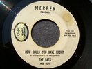 60s PENNSYLVANIA GARAGE--BATS--HOW COULD YOU HAVE KNOWN--MERBEN 501, PROMO