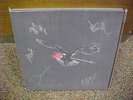Airborne Toxic Event - 4 LP BOX SET - signed AUTOGRAPHED - 2011 - MINT