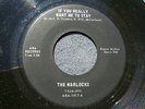 60s TEXAS GARAGE--WARLOCKS--IF YOU REALLY WANT ME TO STAY--ARA 1917