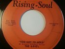Funk 45 THE U-F-O's Too Hot to Hold La-La Means I Love You RISING-SOUL HEAR