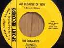 THE DRAMATICS northern soul 45 All Because Of You/Haven't Got Love   Sport