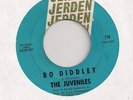 THE JUVENILES : Bo Diddley/Yes I Believe (Jerden 770)1965 NW Raw Garage 45 HEAR