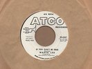 Marva Lee - If You Cant Be True - Atco DEMO