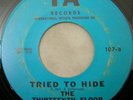 Thirteenth Floor Elevators You're Gonna Miss / Tried To Hide IA 107 US blue lbl