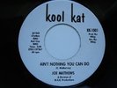 JOE MATTHEWS  -  Ain`t Nothing You Can Do   -  Kool Kat 45