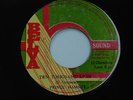 PRINCE HAMMER - TEN THOUSAND LIONS - 7