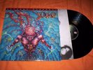 DIO 