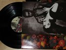 rare KATE BUSH 1993 The Red Shoes UK LP nice