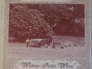 WATER INTO WINE BAND Harvest Time Ex+ 1976 Acid Folk LP - Autographed Sleeve