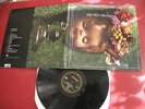 Red Red Meat Bunny Gets Paid 1995 Sub Pop LP Califone Ugly Casanova Modest Mouse