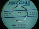 COXSONE - ROLAND ALPHONSO- REGGAE IN THE GRASS-  ROCKSTEADY