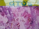 ( Frank Zappa) GTO'S - Permanent Damage; Orig. 1969 German Straight LP - N.Mint
